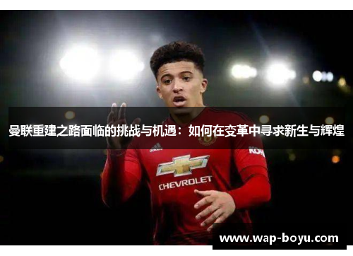 曼联重建之路面临的挑战与机遇：如何在变革中寻求新生与辉煌
