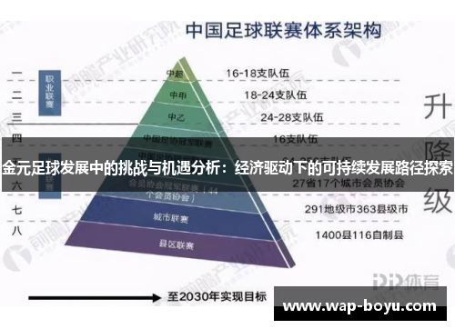 金元足球发展中的挑战与机遇分析：经济驱动下的可持续发展路径探索