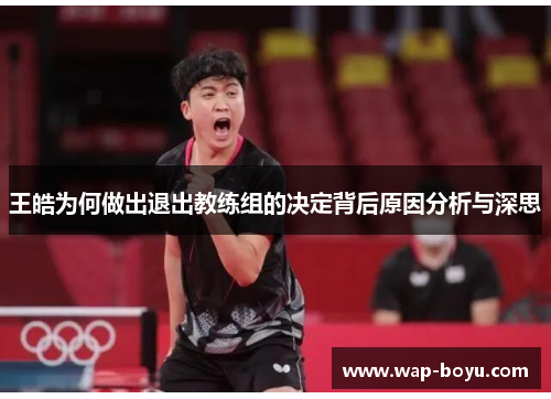 王皓为何做出退出教练组的决定背后原因分析与深思