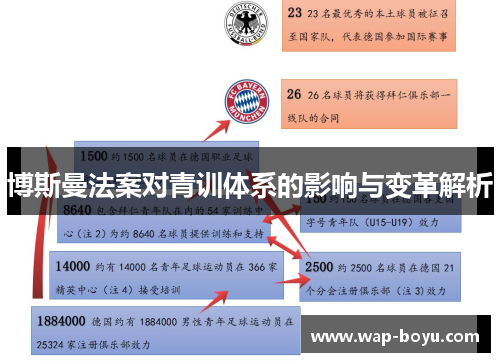博斯曼法案对青训体系的影响与变革解析