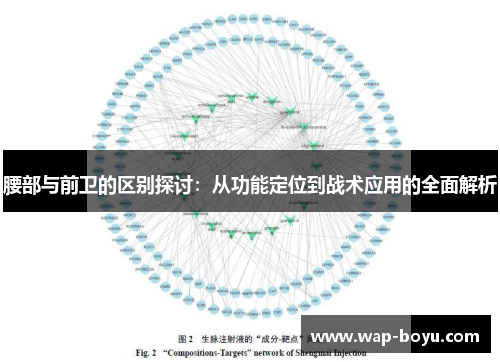 腰部与前卫的区别探讨：从功能定位到战术应用的全面解析